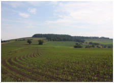 Der Triebenberg liegt vor uns