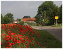Am Ortsausgang von Lindennaundorf blht der Mohn