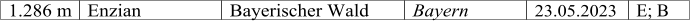 1.286 m Enzian Bayerischer Wald Bayern 23.05.2023 E; B