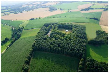 Blick auf den Triebenberg aus der Vogelperspektive