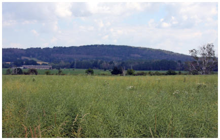 Blick auf den Lbenberg