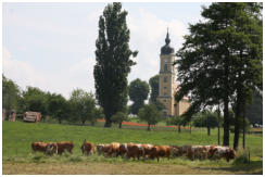 Landleben in Lampersdorf