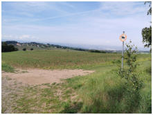 Am Rand des Wldchens bietet sich ein Fernblick