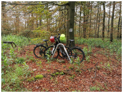 Stillleben auf dem Gipfel des Kohlbergs