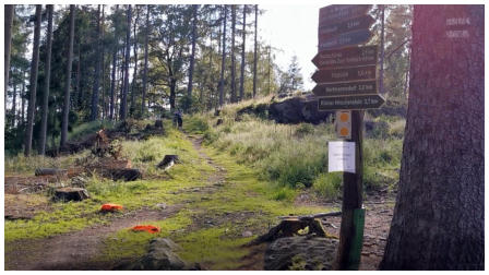 Der Hirschenstein ist eine felsige Anhhe im Hartmannsdorfer Forst